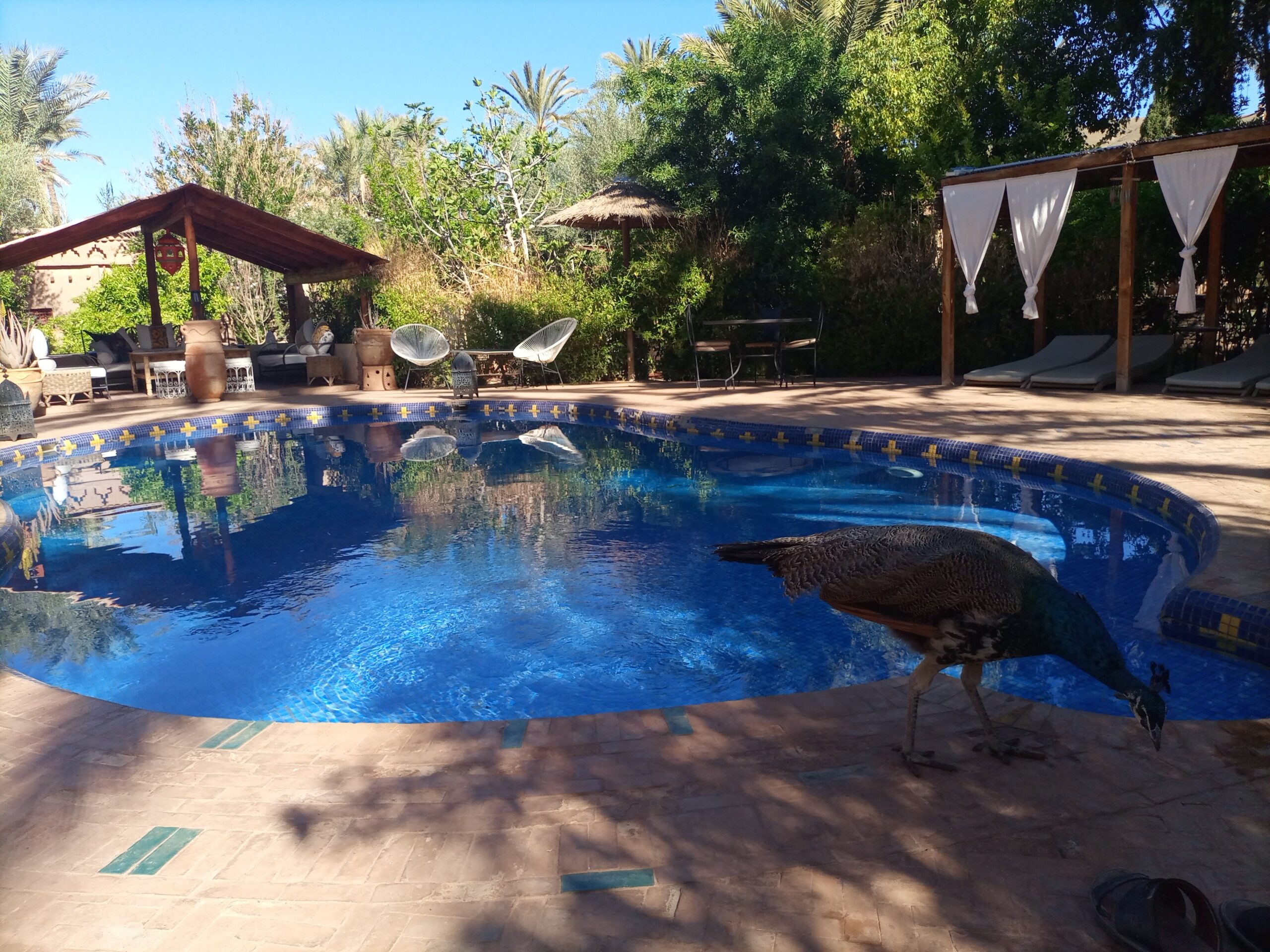 La piscine de Bab El Oued à la tombée du jour