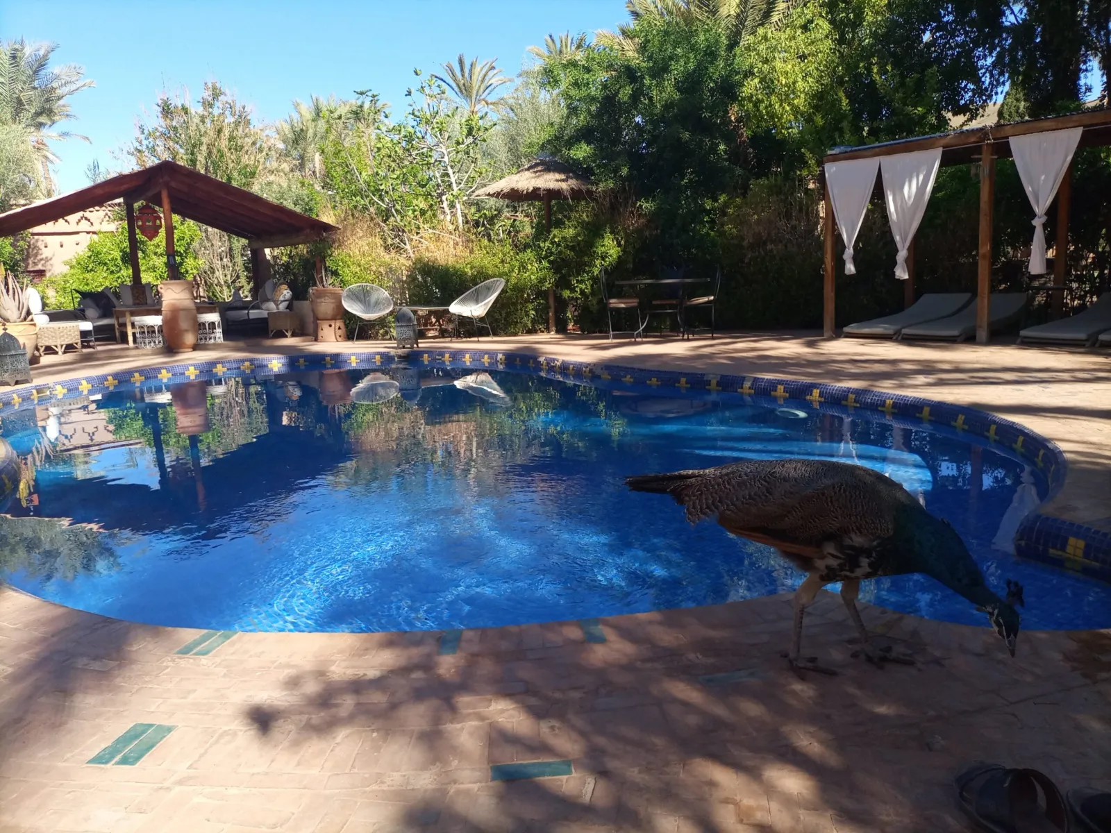 La piscine de Bab El Oued à la tombée du jour