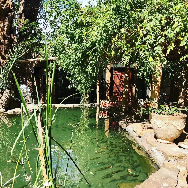Bassin naturel et jardin de Bab El Oued